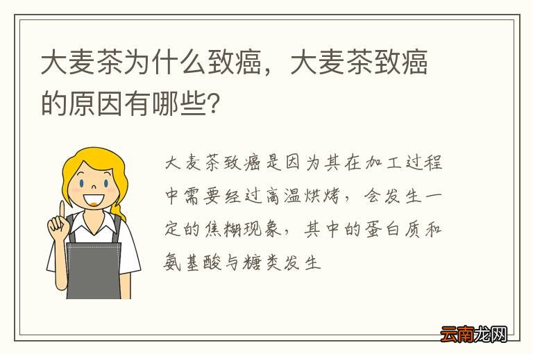 大麦茶为什么致癌，大麦茶致癌的原因有哪些？