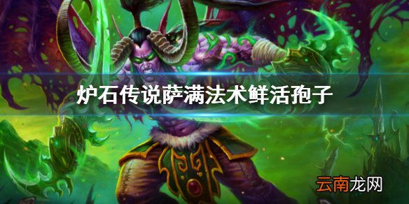 炉石传说外域的灰烬萨满法术鲜活孢子简评 炉石传说鲜活孢子怎么样