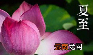 2020年夏至是几月几号 有相关的知识科普吗