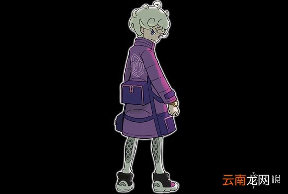宝可梦剑盾反派组织介绍 宝可梦剑盾反派势力有哪些 玛俐_网