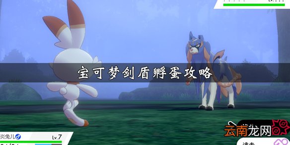宝可梦剑盾孵蛋攻略详解 宝可梦剑盾孵蛋机制说明_网