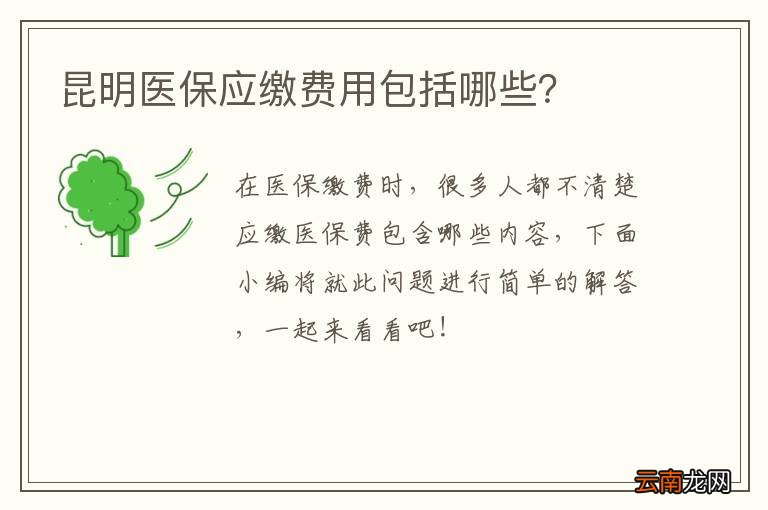 昆明医保应缴费用包括哪些？
