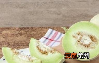 玉菇甜瓜的功效与作用