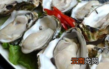牡蛎和生蚝的区别