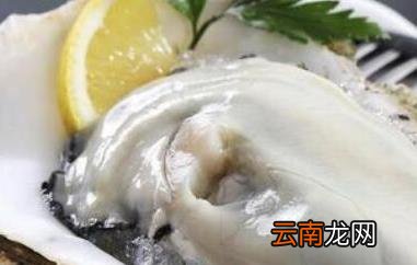 牡蛎和生蚝的区别