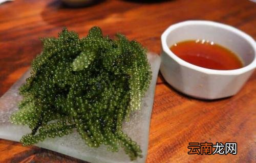 海葡萄怎么泡发