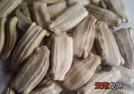 葫芦怎么种快发芽