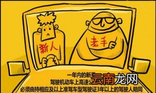 驾驶证多久可以上高速 新手多久可以上高速？