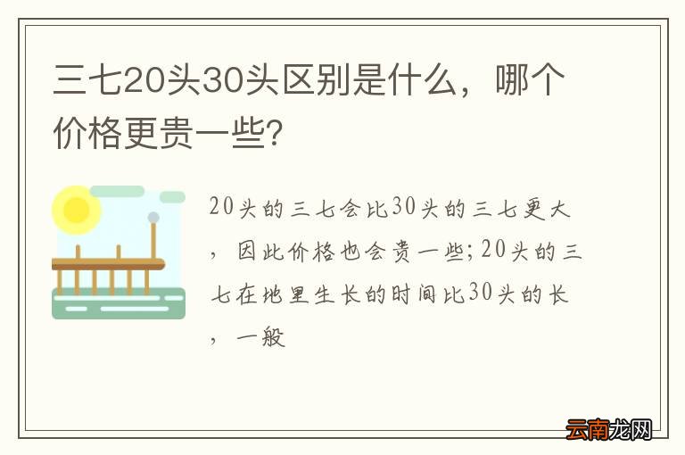 三七20头30头区别是什么，哪个价格更贵一些？