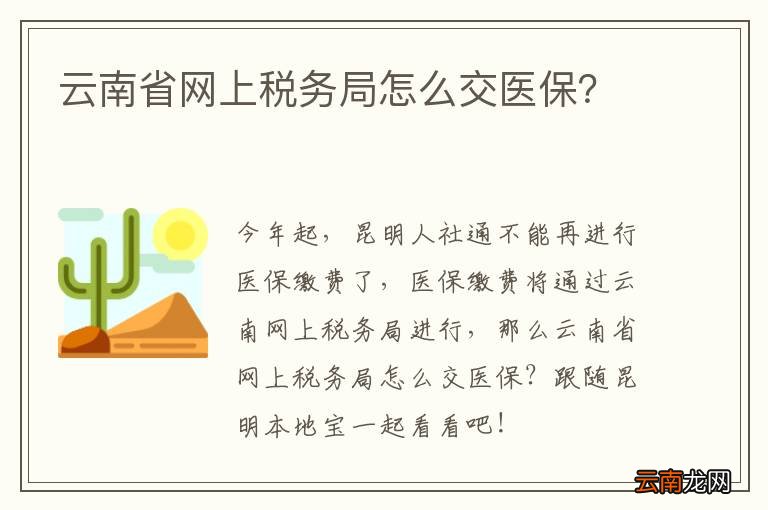 云南省网上税务局怎么交医保？