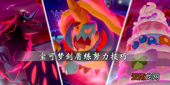 宝可梦剑盾练努力值技巧心得分享 如何快速练努力值_网