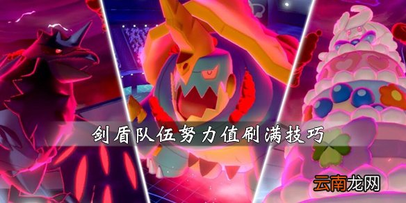 宝可梦剑盾队伍努力值怎么练 队伍努力值练满技巧分享_网