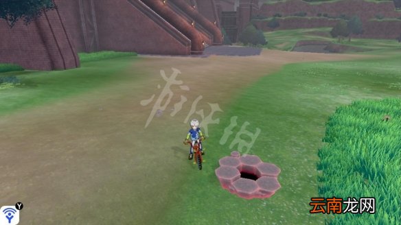 宝可梦剑盾牙牙湖东岸宝可梦有哪些 牙牙湖东岸稀有宝可梦_网
