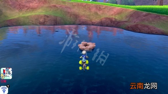 宝可梦剑盾美纳斯湖南岸宝可梦一览 美纳斯湖南岸巢穴属性_网