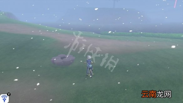 宝可梦剑盾美纳斯湖北岸宝可梦介绍 美纳斯湖北岸巢穴一览_网