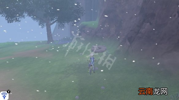 宝可梦剑盾美纳斯湖北岸宝可梦介绍 美纳斯湖北岸巢穴一览_网