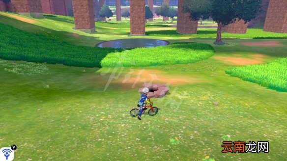 宝可梦剑盾机擎河岸宝可梦大全 宝可梦剑盾机擎河岸巢穴属性_网