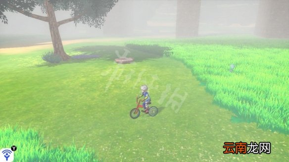 宝可梦剑盾桥间空地极巨化宝可梦有哪些 桥间空地稀有精灵_网