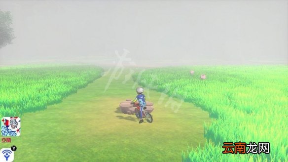 宝可梦剑盾桥间空地极巨化宝可梦有哪些 桥间空地稀有精灵_网