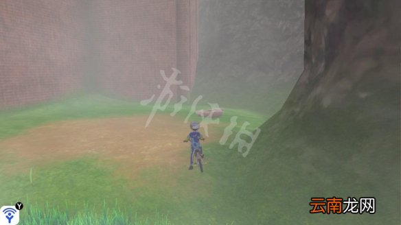 宝可梦剑盾桥间空地极巨化宝可梦有哪些 桥间空地稀有精灵_网