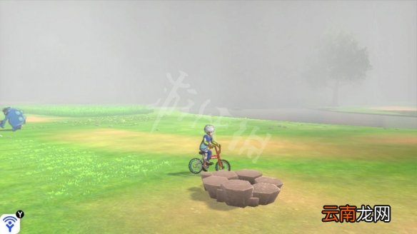 宝可梦剑盾桥间空地极巨化宝可梦有哪些 桥间空地稀有精灵_网