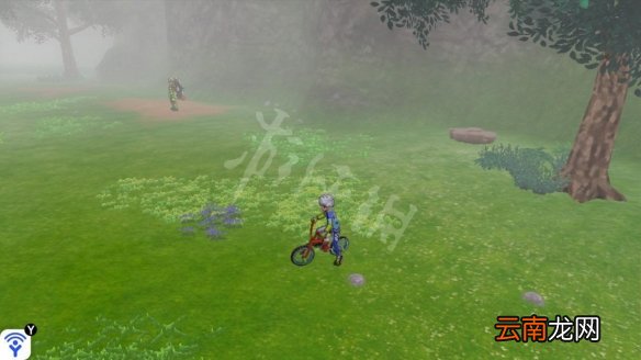 宝可梦剑盾桥间空地极巨化宝可梦有哪些 桥间空地稀有精灵_网