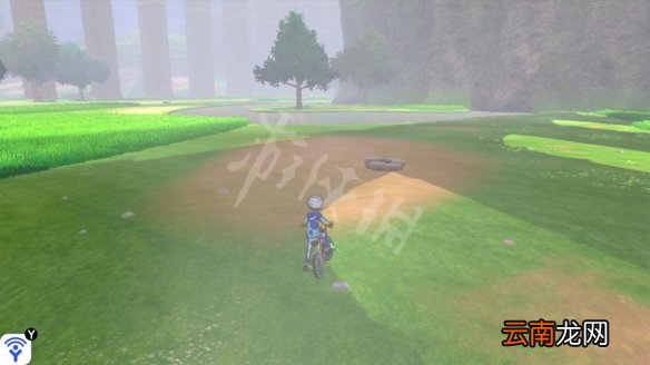 宝可梦剑盾桥间空地极巨化宝可梦有哪些 桥间空地稀有精灵_网