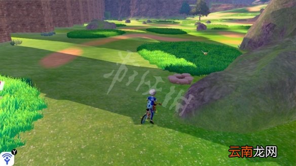 宝可梦剑盾巨石原野精灵巢穴一览 巨石原野稀有宝可梦汇总_网