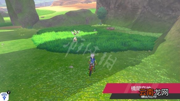 宝可梦剑盾巨石原野精灵巢穴一览 巨石原野稀有宝可梦汇总_网