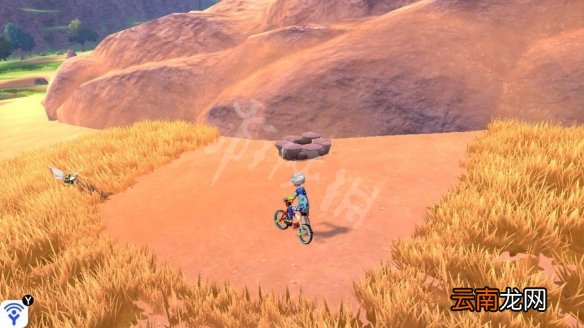 宝可梦剑盾巨石原野精灵巢穴一览 巨石原野稀有宝可梦汇总_网