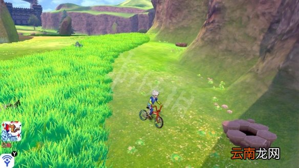 宝可梦剑盾巨石原野精灵巢穴一览 巨石原野稀有宝可梦汇总_网