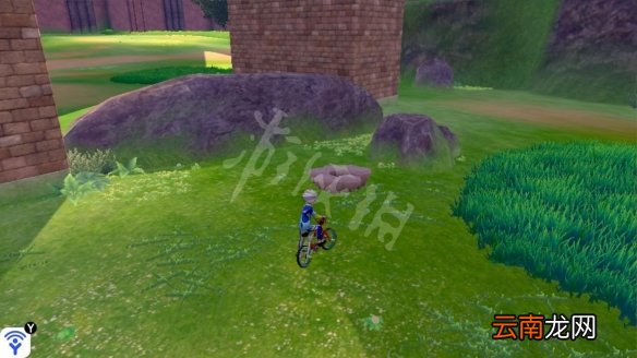 宝可梦剑盾巨石原野精灵巢穴一览 巨石原野稀有宝可梦汇总_网