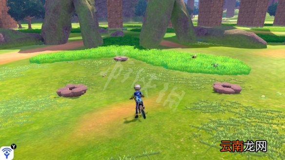 宝可梦剑盾巨石原野精灵巢穴一览 巨石原野稀有宝可梦汇总_网