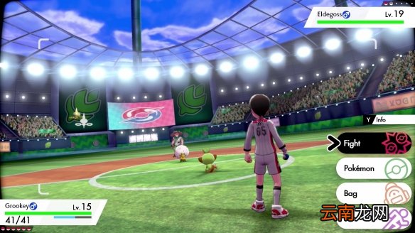 宝可梦剑盾游戏名词概念解析 精灵宝可梦剑盾什么是梦特_网