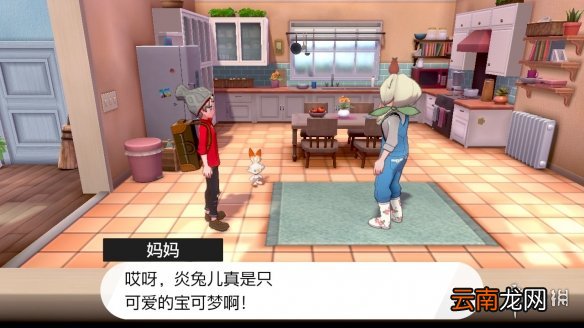 宝可梦剑盾银色王冠怎么获取 银色王冠使用技巧介绍_网