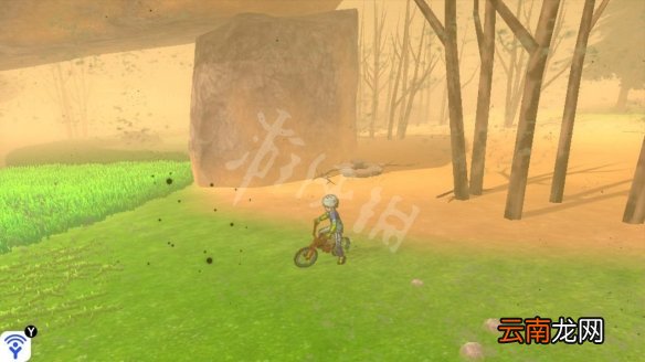 宝可梦剑盾沙尘洼地巢穴属性一览 沙尘洼地稀有精灵汇总_网