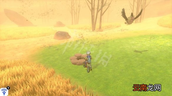 宝可梦剑盾沙尘洼地巢穴属性一览 沙尘洼地稀有精灵汇总_网