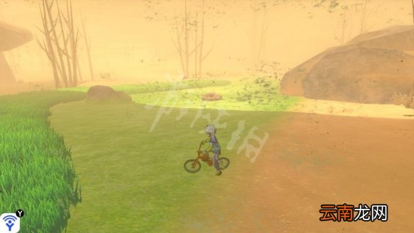 宝可梦剑盾沙尘洼地巢穴属性一览 沙尘洼地稀有精灵汇总_网