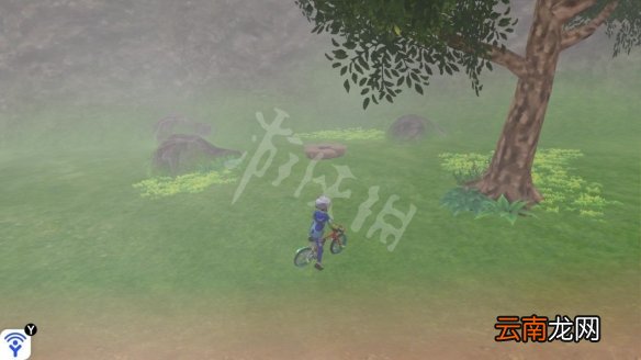 宝可梦剑盾巨人帽岩稀有宝可梦有哪些 巨人帽岩稀有精灵介绍_网