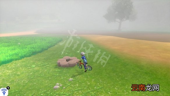 宝可梦剑盾巨人帽岩稀有宝可梦有哪些 巨人帽岩稀有精灵介绍_网