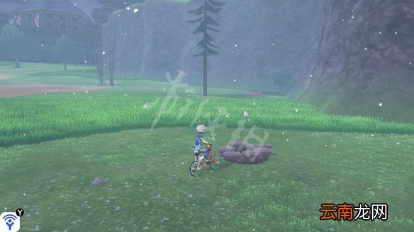 宝可梦剑盾巨人镜池稀有精灵收集 巨人镜池极巨化巢穴分布_网