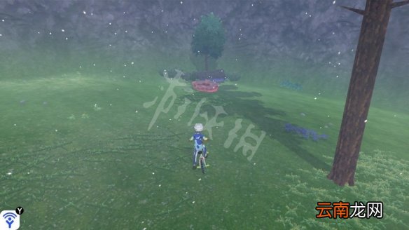 宝可梦剑盾巨人镜池稀有精灵收集 巨人镜池极巨化巢穴分布_网