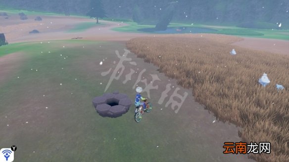 宝可梦剑盾巨人镜池稀有精灵收集 巨人镜池极巨化巢穴分布_网