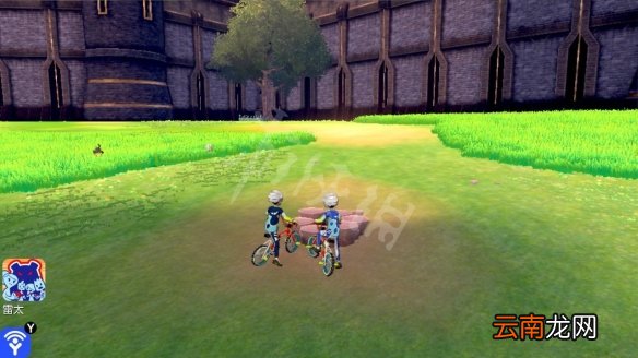 宝可梦剑盾拳关丘陵极巨化巢穴分布 拳关丘陵稀有宝可梦介绍_网