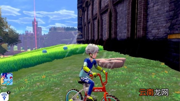 宝可梦剑盾拳关丘陵极巨化巢穴分布 拳关丘陵稀有宝可梦介绍_网