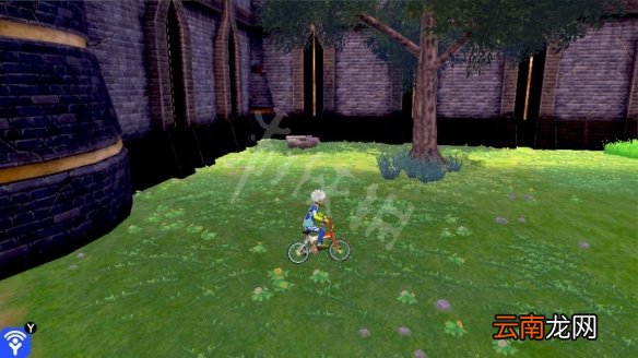 宝可梦剑盾拳关丘陵极巨化巢穴分布 拳关丘陵稀有宝可梦介绍_网