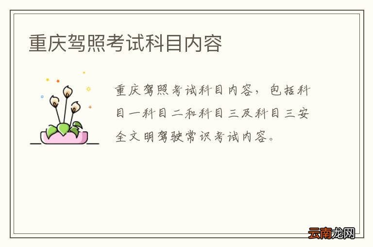 重庆驾照考试科目内容