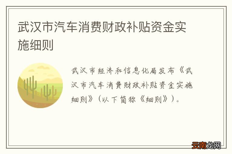 武汉市汽车消费财政补贴资金实施细则