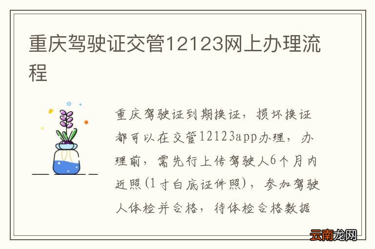 重庆驾驶证交管12123网上办理流程