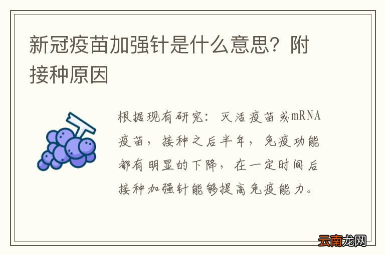 新冠疫苗加强针是什么意思？附接种原因